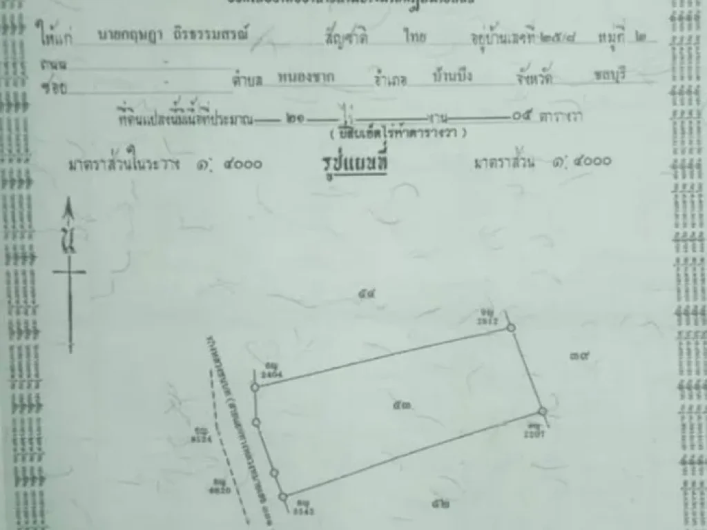 ที่ดินบ้านบึง ขนาด 21 ไร่ 5 ตารางวา อำเภอบ้านบึง เหมาะทำฟาร์มหรือเกษตร