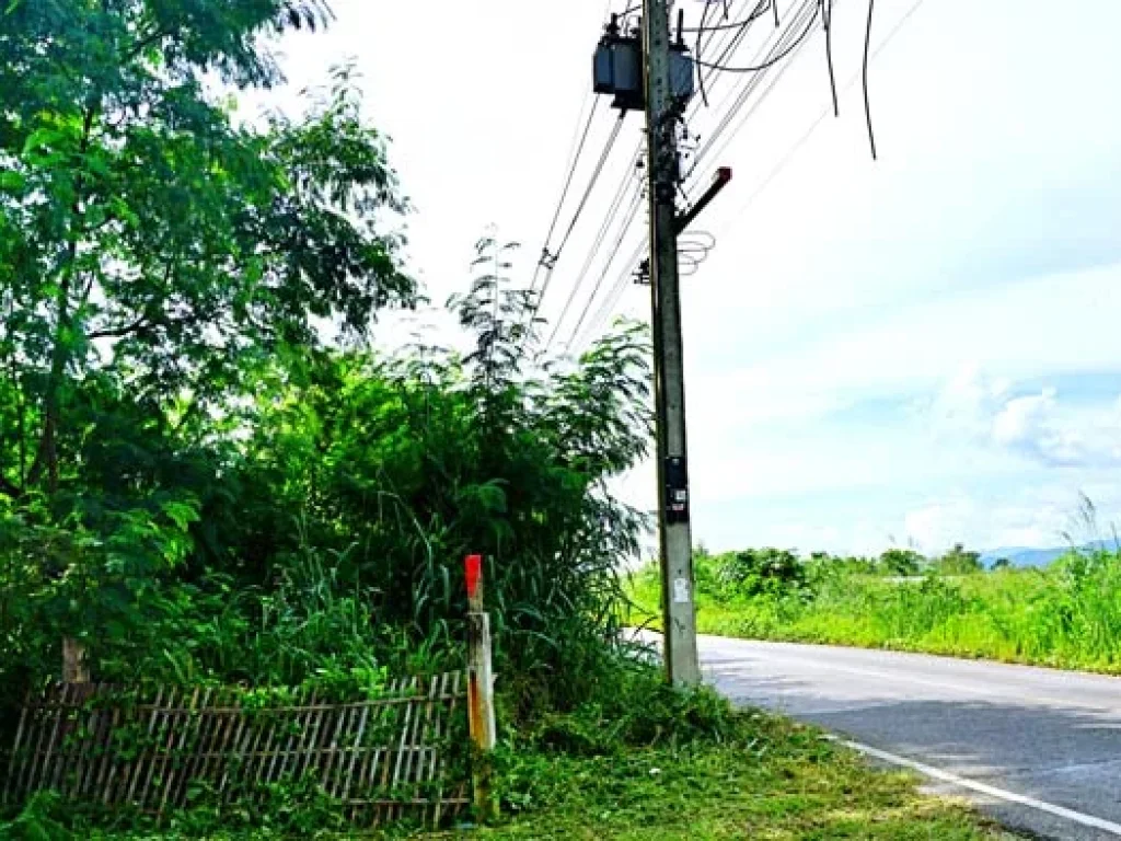 ขายที่ดิน ติดถนนหลัก ชม3007 โซนบ้านวังสิงห์คำ ตสันผักหวาน