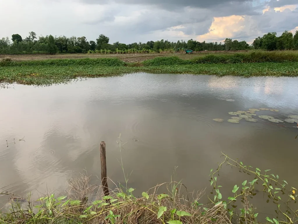 ขายที่นากำเเพงเพรช สามารถทำธุรกิจ หรือสร้างเป็น Landmark อยู่ติดกับกลางเมืองกำแพงเพชร