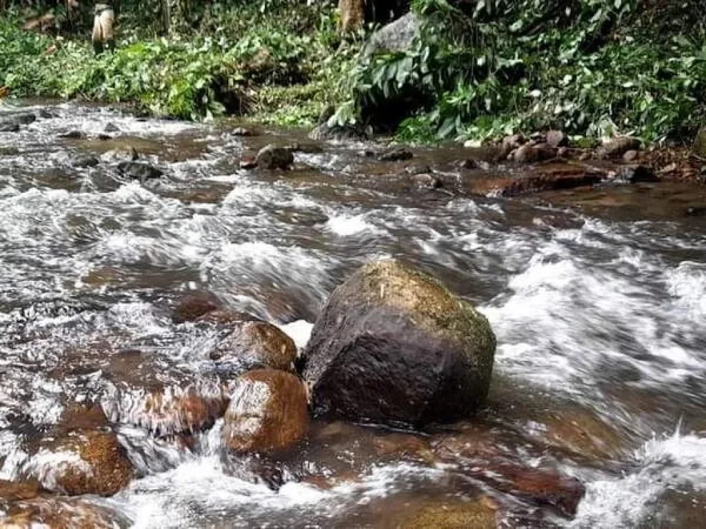 ขายที่ดินติดธารน้ำ เทพเสด็จ ติดถนนลาดยางเอกสารสิทธิ์