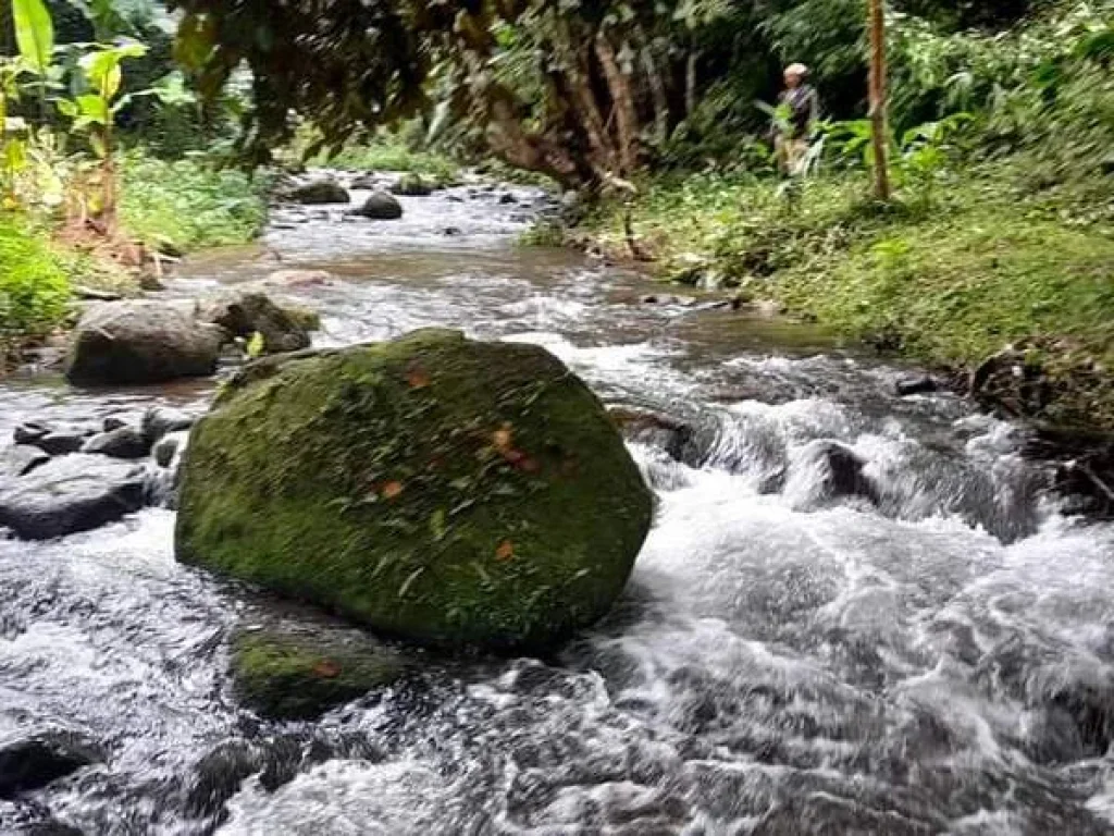 ขายที่ดินติดธารน้ำ เทพเสด็จ ติดถนนลาดยางเอกสารสิทธิ์