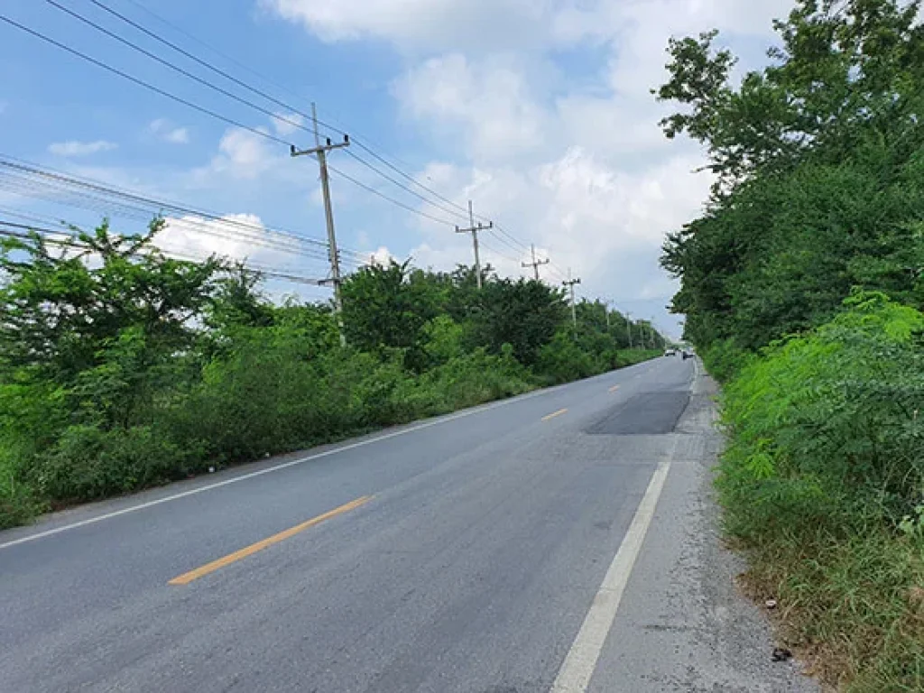 ฮวงจุ้ยดี เหมาะกับธุรกิจริมถนน ติดทางราดยาง 2 เลนน์ บางหลวง- บางเลน-วัดไผ่ ยาว 132 เมตร พื้นที่ 20 ไร่เศษ