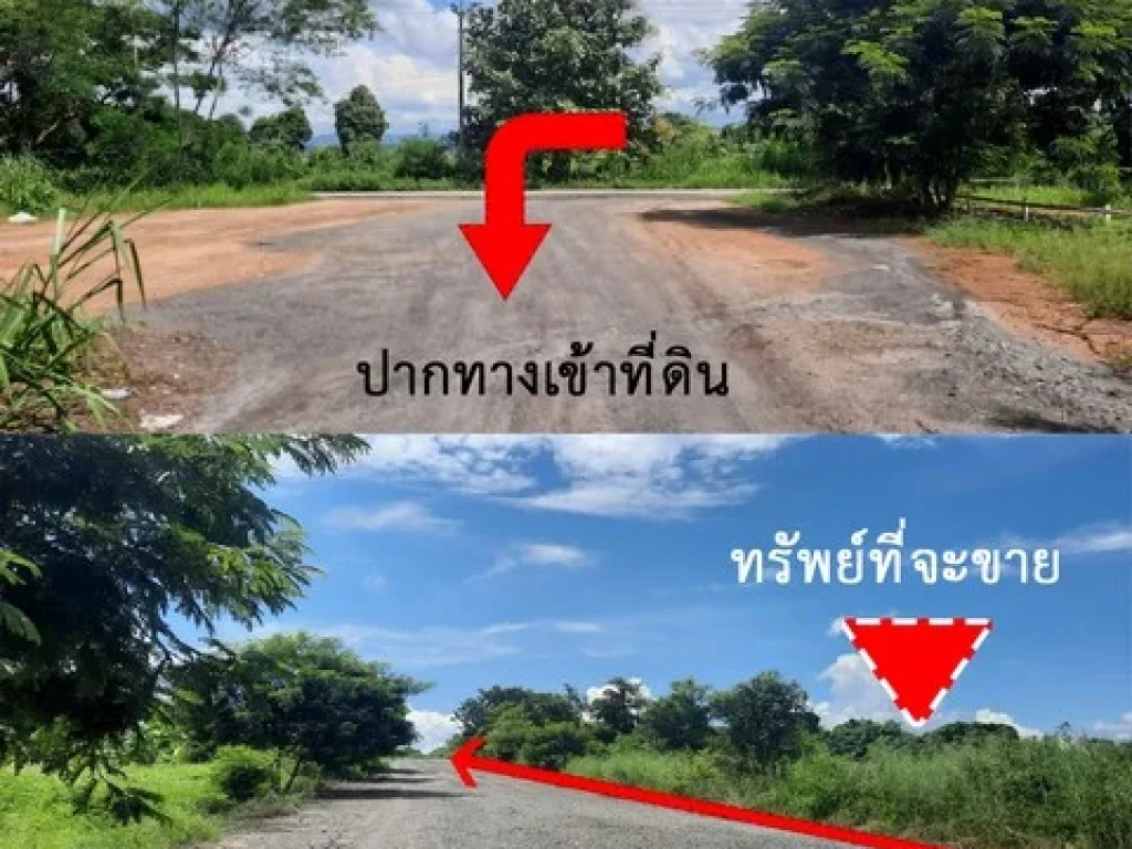 ขายที่ดินแม่แตง วิวเนินภูเขา ใกล้สถานที่ท่องเที่ยว