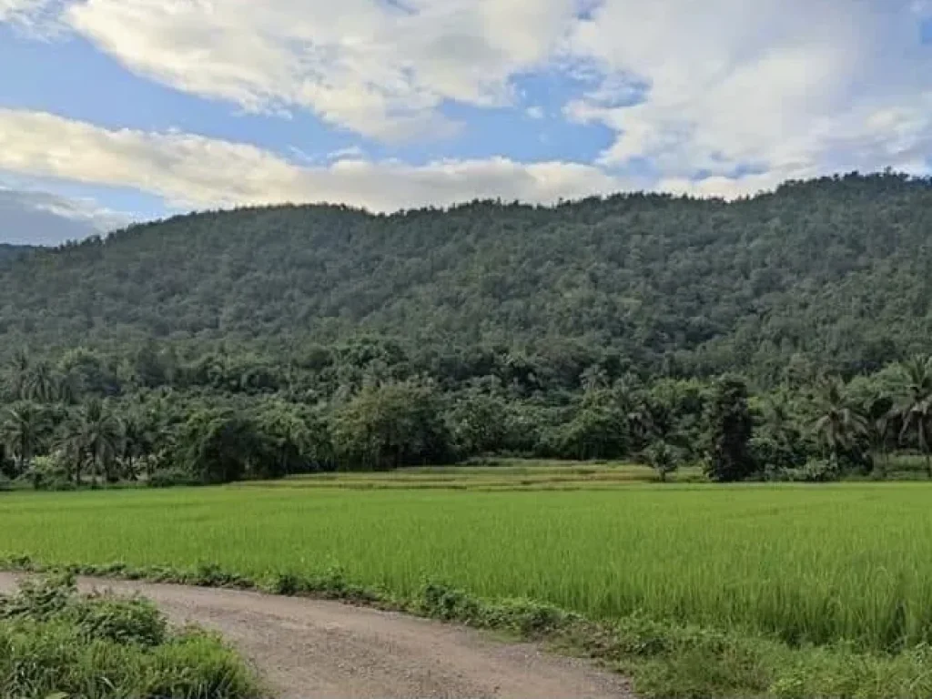 ที่ดินวิวเขาสวย ติดน้ำแม่กลาง อจอมทอง จังหวัดเชียงใหม่