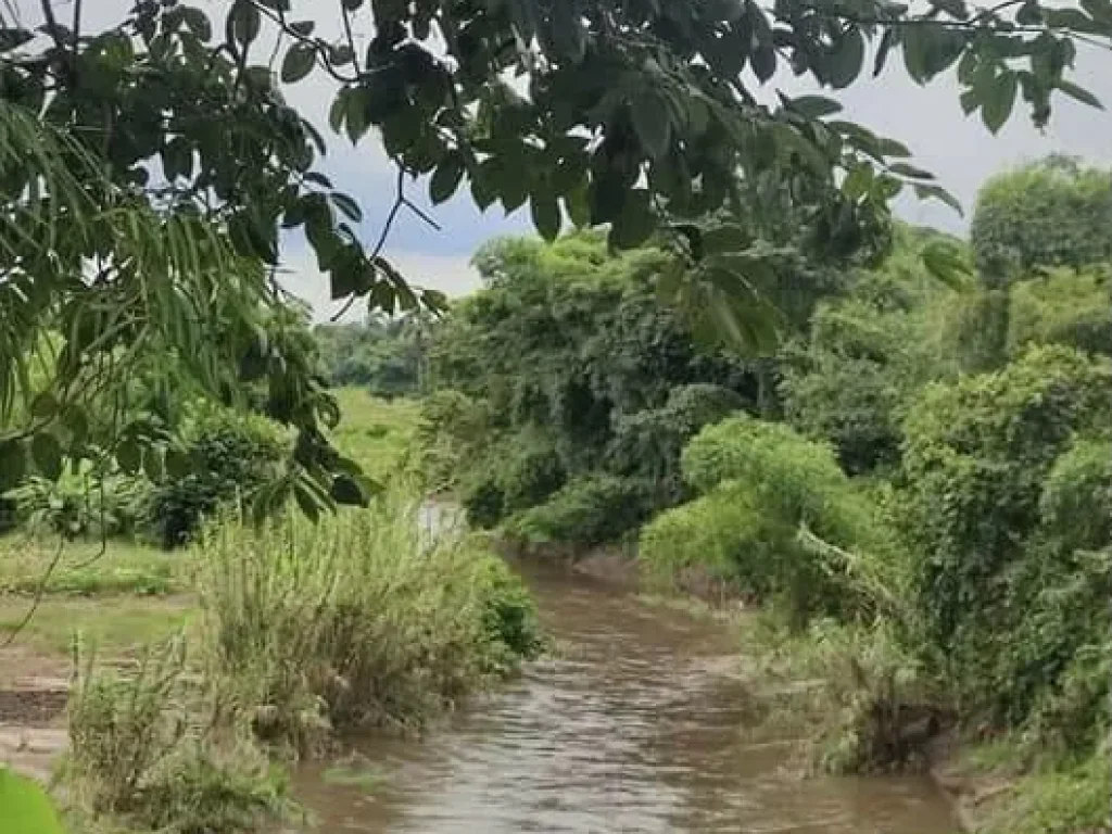 ที่ดินวิวเขาสวย ติดน้ำแม่กลาง อจอมทอง จังหวัดเชียงใหม่