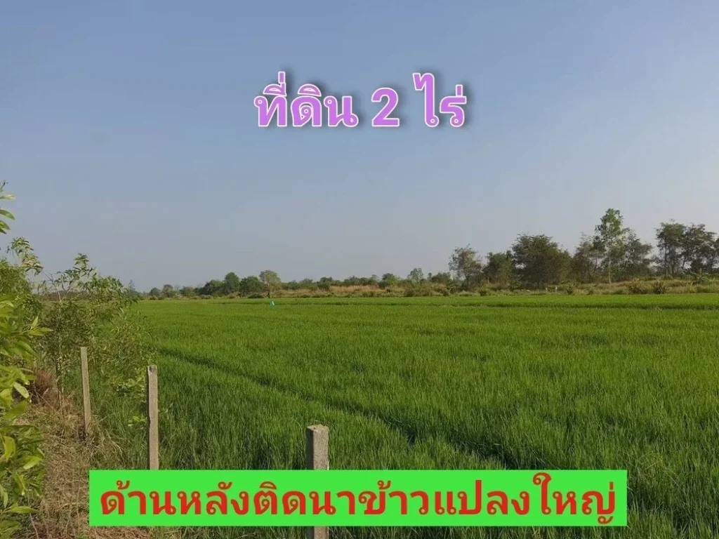 ขายขาดทุน 2 ไร่ ถมแล้วเกือบทั้งแปลง คลอง 11 ฝั่งตะวันออก อหนองเสือ ปทุมธานี