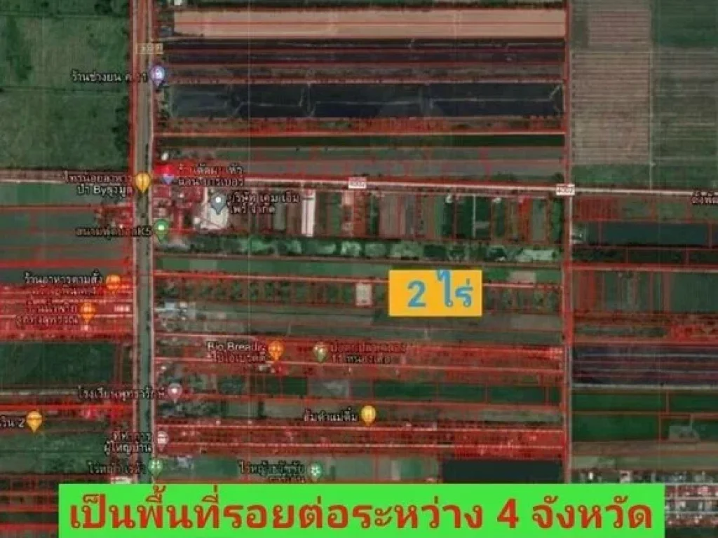 ขายขาดทุน 2 ไร่ ถมแล้วเกือบทั้งแปลง คลอง 11 ฝั่งตะวันออก อหนองเสือ ปทุมธานี