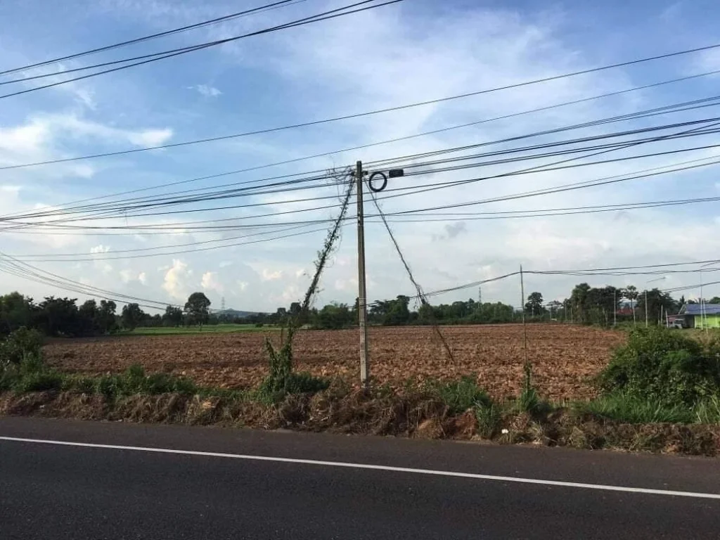 ขายที่ดินแปลงมุม ถนนชยางกูร เลิงนกทา ใกล้ตัวเมืองมุกดาหาร 15 ไร่