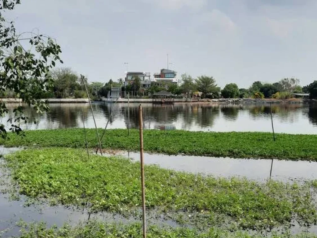 ขายที่ดินติดแม่น้ำท่าจีน พร้อมใช้งานทันที ที่สวยติดแม่น้ำ ขนาด 19 ไร่ 3 งาน 100 ตารางวา สมุทรสาคร