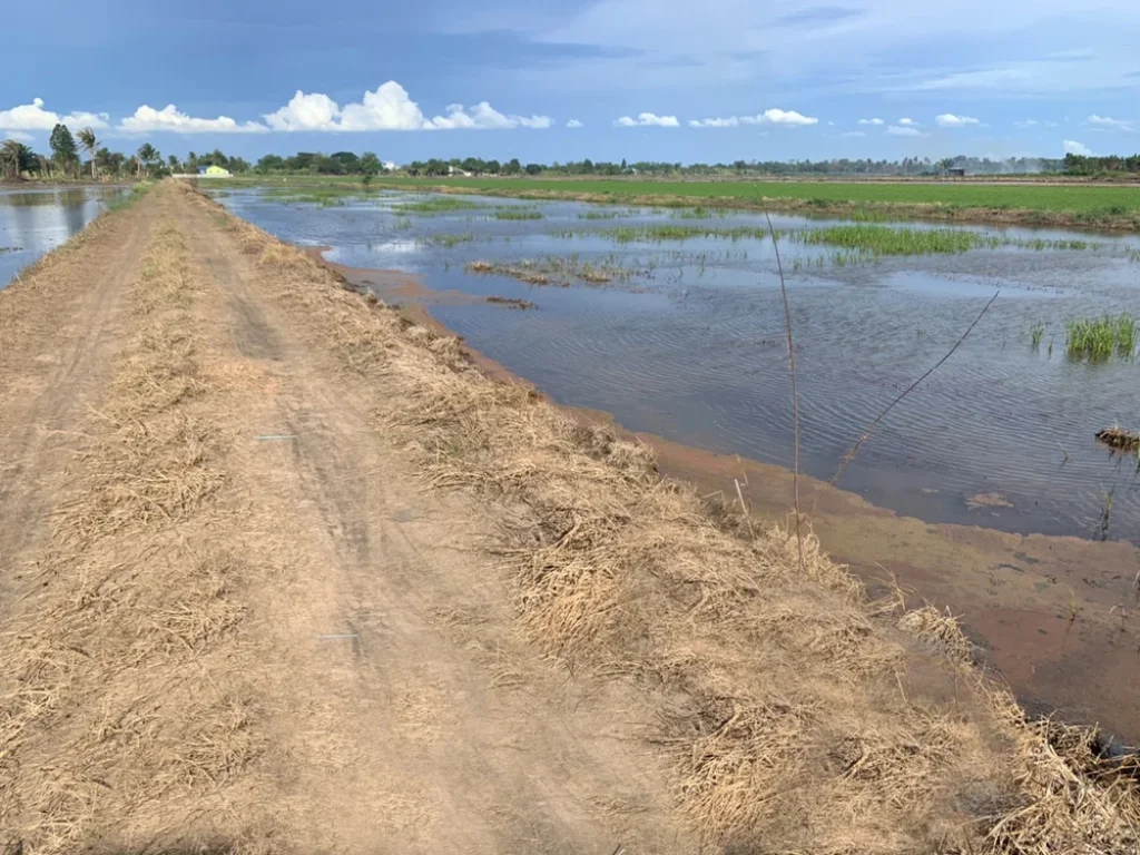 ขายที่ดิน 1 ไร่ ร้อนเงิน เจ้าของขายเองด่วนมาก ราคาโควิด