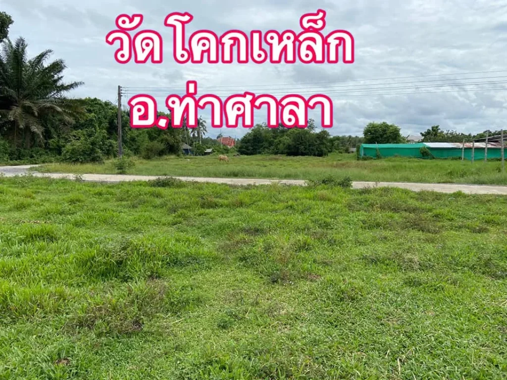 ขายที่ดิน 9 แปลง475ตรว290000บาท ตไทยบุรี อท่าศาลา จนครศรีธรรมราช