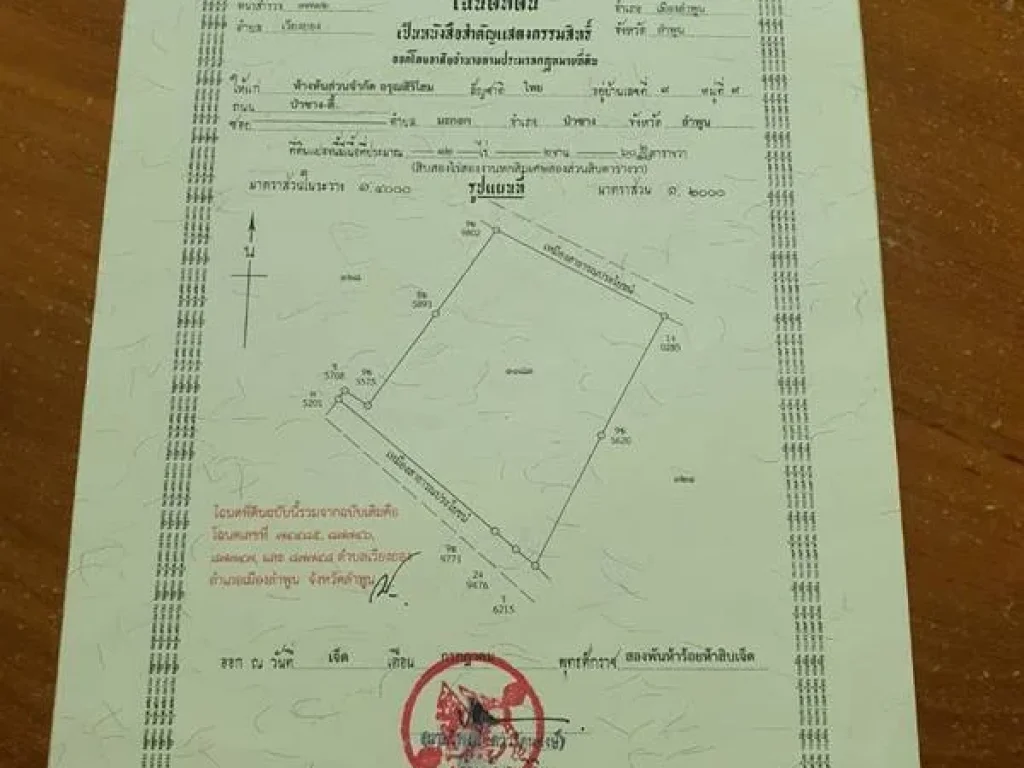 ขายที่ดิน ในเมือง ถนนลำพูน ดอยติ ห่างจาก แยกลำพูน-ดอยติ 2 กิโล เยื้องโกบอลเฮาส์ ลำพูน