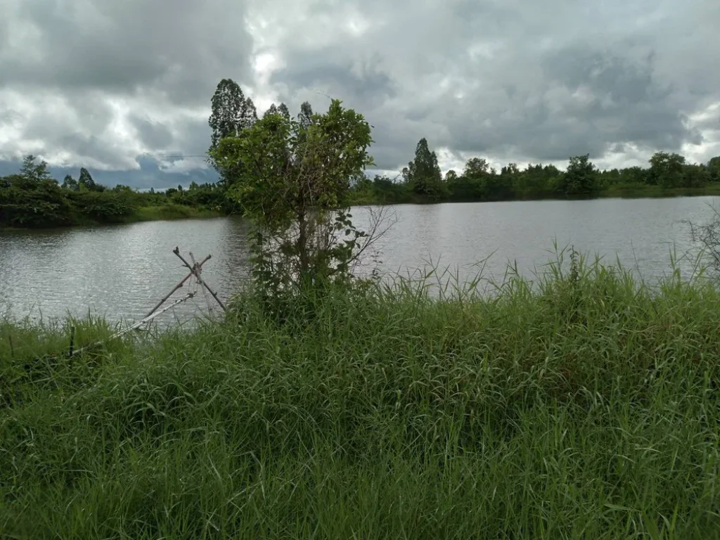 ที่ดินแบ่งขาย ห่างถนนเลี่ยงเมือง230 ทำเลดี ตำบลพระลับ อำเภอเมืองขอนแก่น