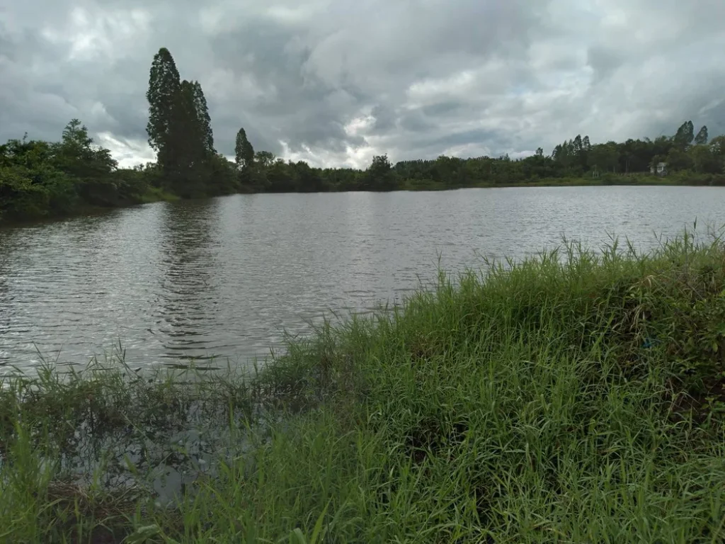 ที่ดินแบ่งขาย ห่างถนนเลี่ยงเมือง230 ทำเลดี ตำบลพระลับ อำเภอเมืองขอนแก่น