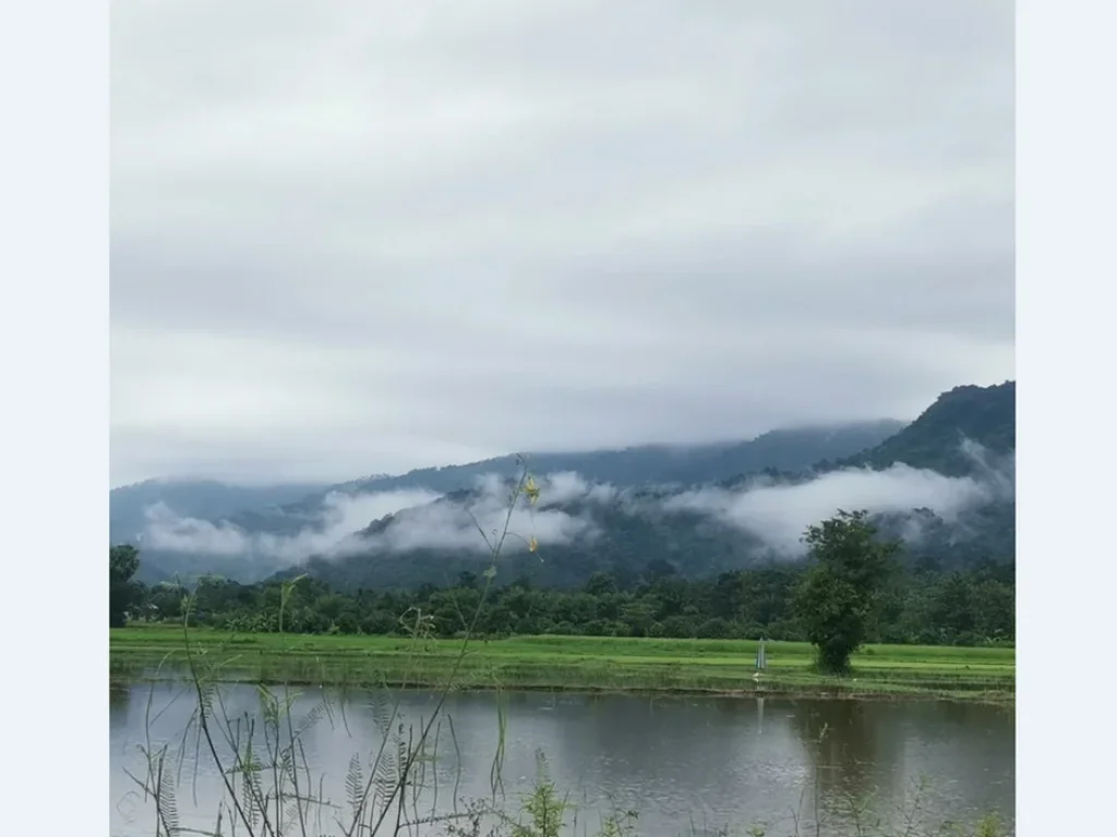 ขายที่ดินแปลงสวย วิวหายากมาก ตำบลเขาพระ เมืองนครนายก เหมาะสร้างบ้านพัก วิวเขาล้อมรอบ 360 องศา