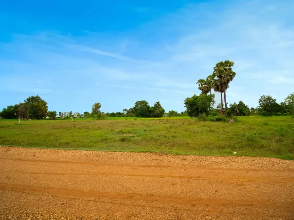 ต้องการขายที่ดินสวยเหมาะกับการสร้างบ้านตากอากาศ ทำบ้านจัดสรร บ้านโครงการ ถนนเส้นหนองกลอย-แดงใหญ่ เดินทางสะดวกใกล้หมู่