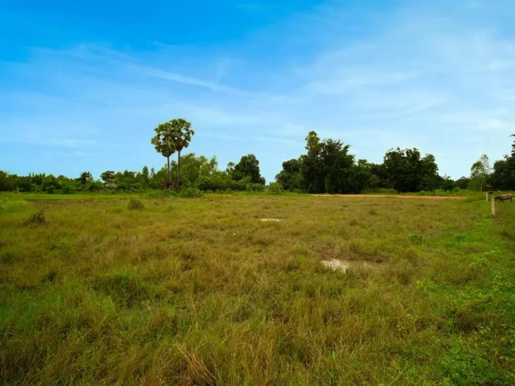 ต้องการขายที่ดินสวยเหมาะกับการสร้างบ้านตากอากาศ ทำบ้านจัดสรร บ้านโครงการ ถนนเส้นหนองกลอย-แดงใหญ่ เดินทางสะดวกใกล้หมู่