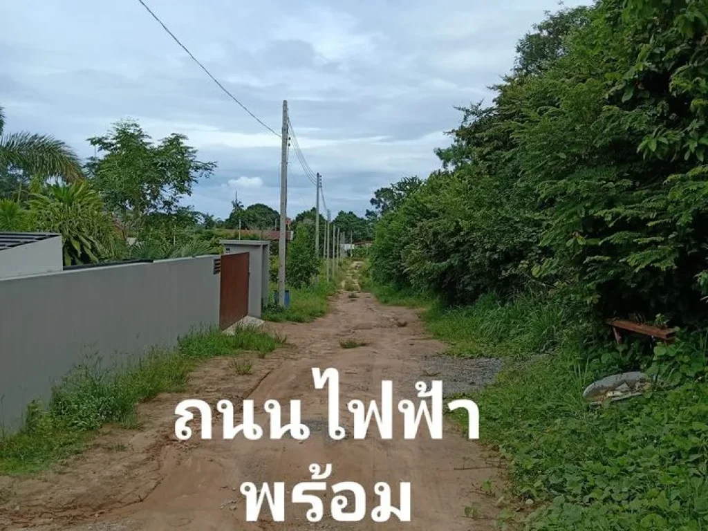 ขายที่ดินบนเกาะสมุย 1ไร่ ตรงบ่อผุดใกล้ทะเล5นาทีราคาโควิด19