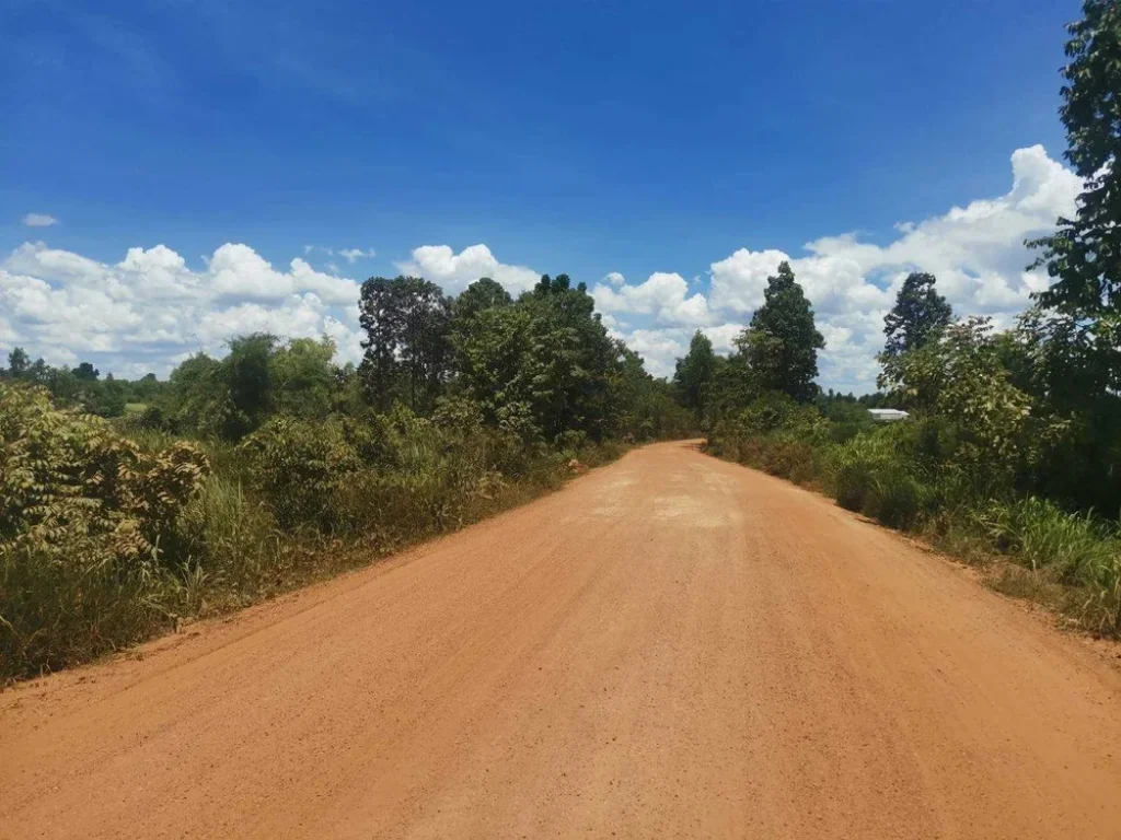 ต้องการขายที่ดิน ถูกแบบนี้รีบจองด่วน ห่างถนนดำและไฟฟ้า 150เมตร สร้างบ้านสวน ฟาร์มและอื่น ๆ บรรยากาศดี ถนนกว้างขวาง เดินทางสะดวก เข้า-ออก