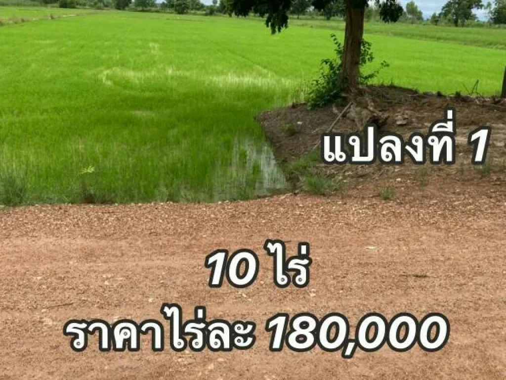 ขายที่ดินราคาถูกติดทางสาธารณะ ในอำเภอเมือง จังหวัดกำแพงเพชร