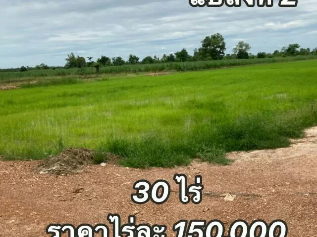 ขายที่ดินราคาถูกติดทางสาธารณะ ในอำเภอเมือง จังหวัดกำแพงเพชร