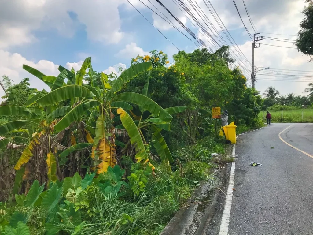 ขายที่ดินไทรม้า 100 ตรว ตไทรม้า อเมืองนนทบุรี จนนทบุรี