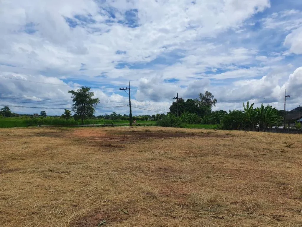 ขายที่ดินถมแล้ว ติดถนนบายพาสตะวันตก อำเภอเมืองเชียงราย จังหวัดเชียงราย