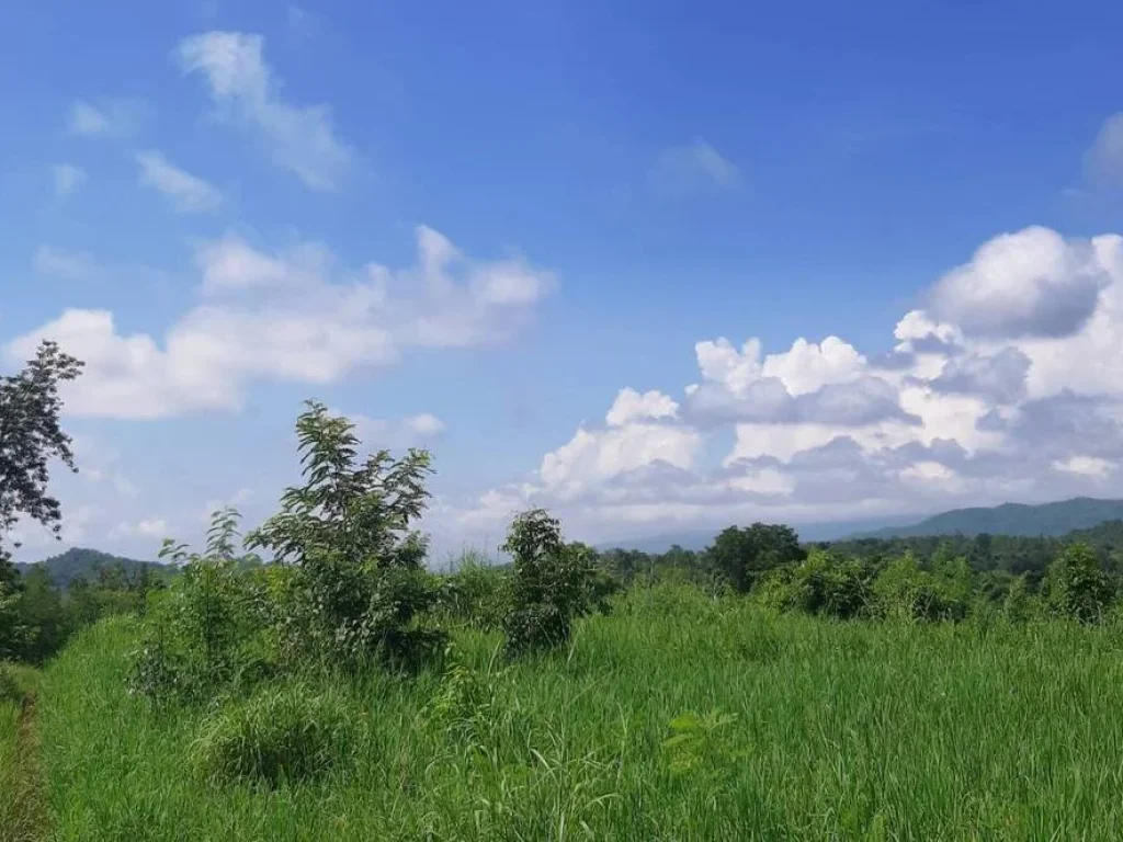 ขายที่ดินเปล่า มีโฉนด อำเภอเมือง จังหวัดเพชรบูรณ์ เนื้อที่ 5 ไร่ 1งาน