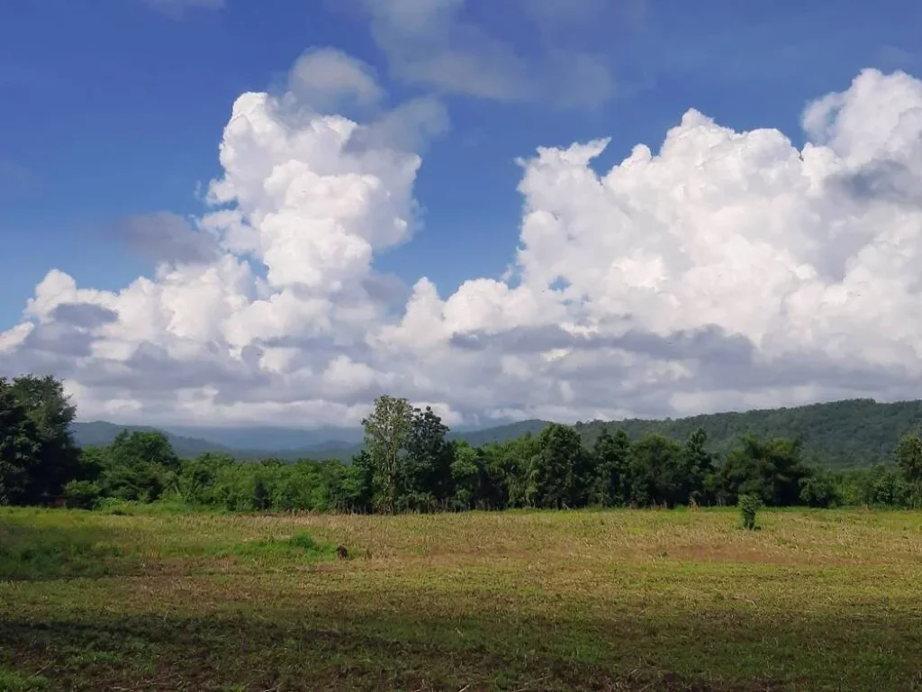 ขายที่ดินเปล่า มีโฉนด อำเภอเมือง จังหวัดเพชรบูรณ์ เนื้อที่ 5 ไร่ 1งาน