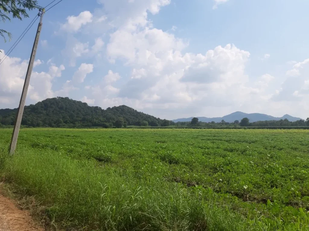 ขายที่ดินเปล่า มีโฉนด ใกล้วัดป่าลำจังหัน วิเชียรบุรี เพชรบูรณ์