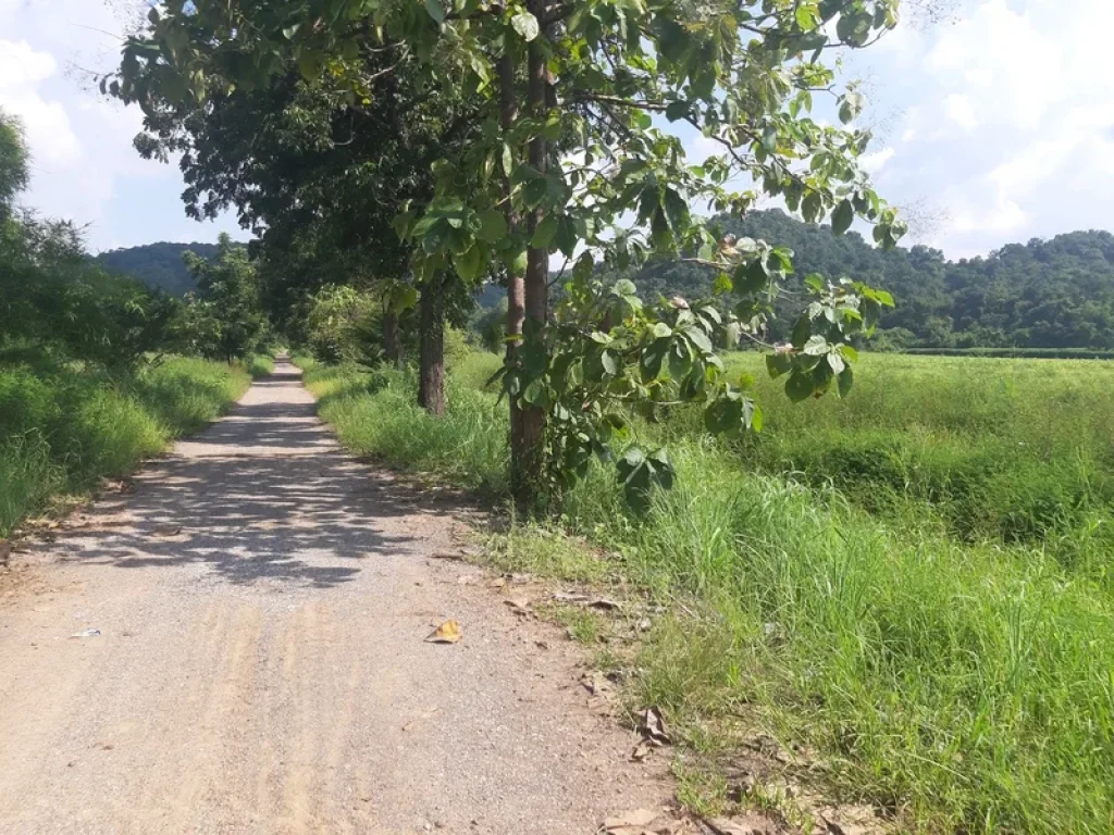 ขายที่ดินเปล่า มีโฉนด ใกล้วัดป่าลำจังหัน วิเชียรบุรี เพชรบูรณ์