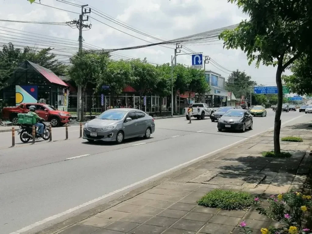 ขายที่ดิน 100-200 วา ถนนสุขาภิบาล 5 ซอย 40 ใกล้ทางด่วนฉลองรัช วัชพล-สุขาภิบาล เขตบางเขน กรุงเทพ