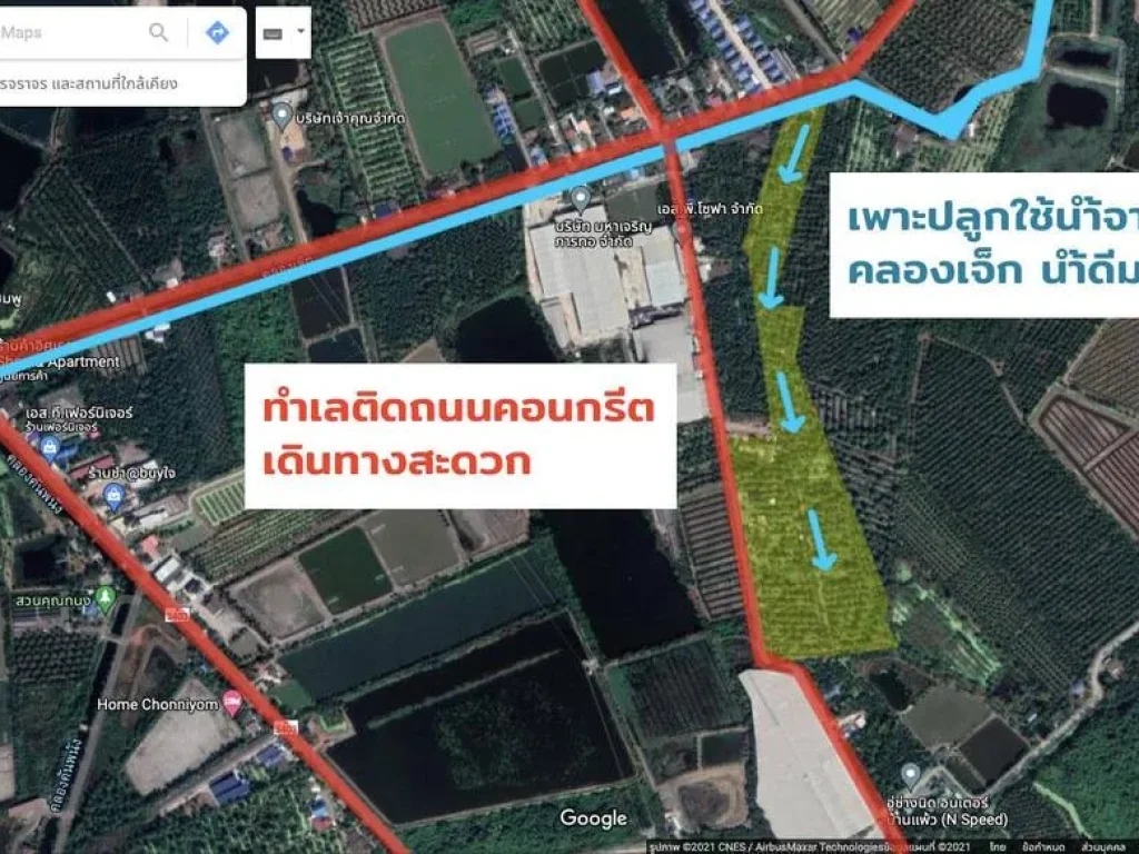 ขายที่ดินสวนมะพร้าวบ้านแพ้ว 26 ไร่ ใกล้ถนน พระราม 2