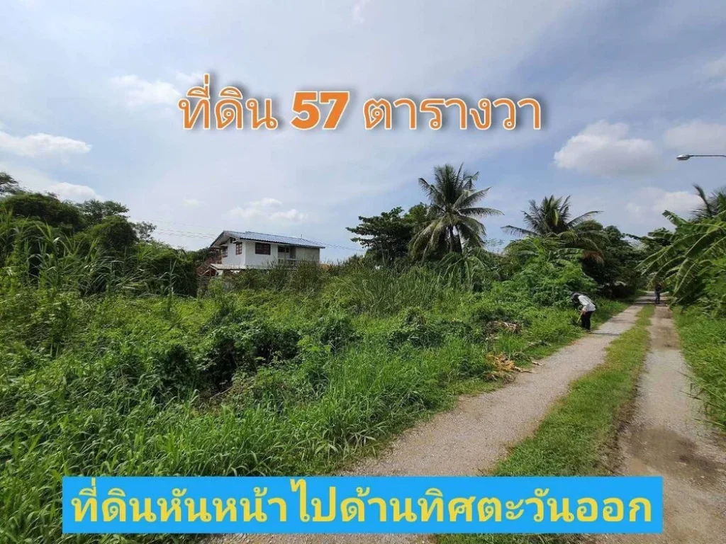 ขายที่ดินสายสาม 57 ตารางวา พุทธมณฑลสาย 3 ซอย 19เปรมวดี เขตทวีวัฒนา กรุงเทพ