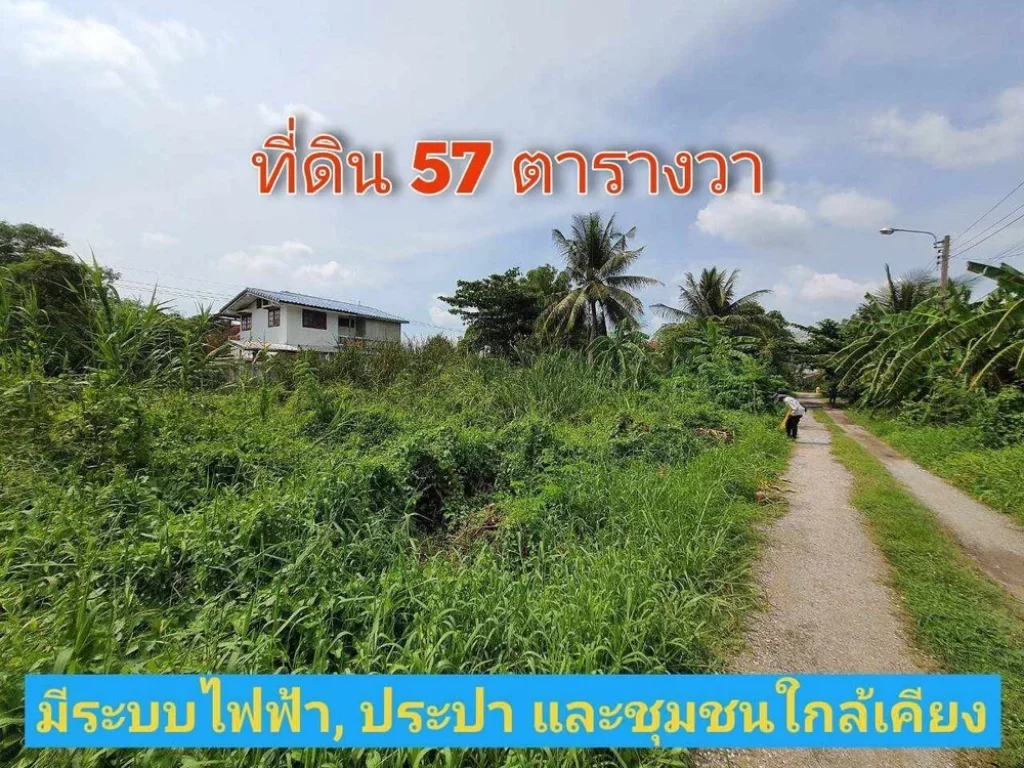 ขายที่ดินสายสาม 57 ตารางวา พุทธมณฑลสาย 3 ซอย 19เปรมวดี เขตทวีวัฒนา กรุงเทพ