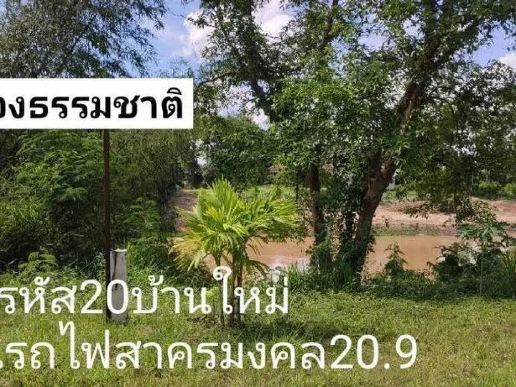 ขายบ้าน2ชั้นใหม่ 20ตรว วิวคลองธรรมชาติ ย่านสะพานรถไฟถนนสาครมงคล หาดใหญ่ ขาย209ล้านบาท