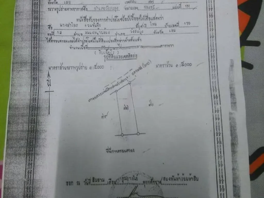 ขายที่ดิน 11 ไร่ถูกที่สดเหมา 7 ล้าน ติดถนนใหญ่่ถูกที่สุดห่างสี่แยกวังสะพุง 13 กม ไปทาง อเอราวัณ