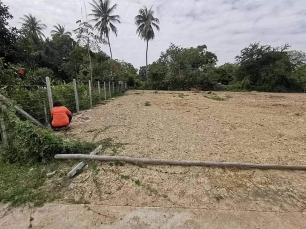 ขายถูกมาก ที่ดินสวย ใกล้โรบินสัน เพชรบุรี ทำเลดี เดินทางสะดวก ใกล้บิ๊กซี โลตัส เพชรบุรี ฯ