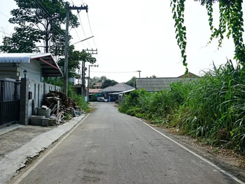 ขายที่ดิน ใกล้โรงเรียนสารสาสน์ อำเภอเมืองเชียงใหม่