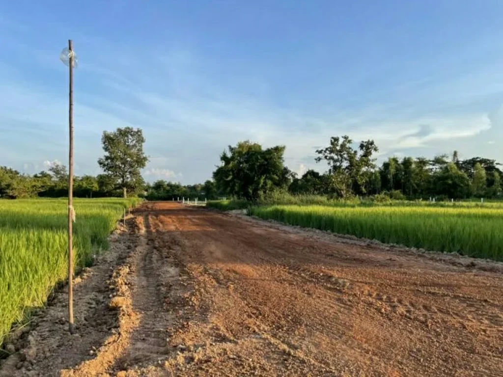 ที่ดินแบ่งขาย ทำเลดีราคาถูก ติดถนนสาธารณะ ในอำเภอเมืองสกลนคร