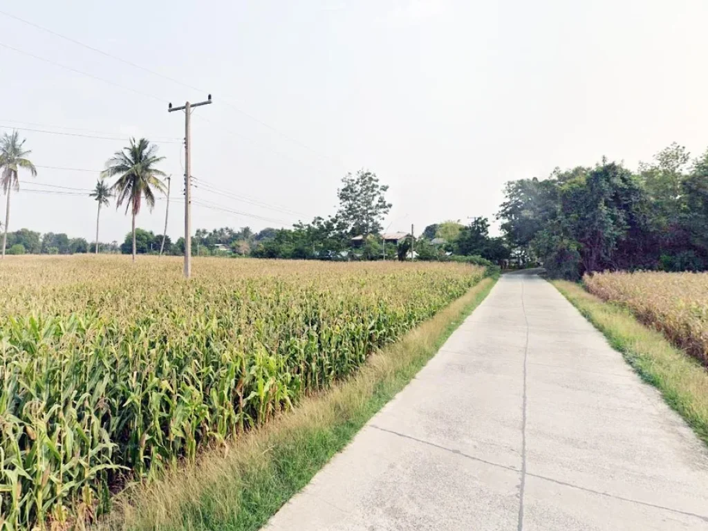 ขายที่ดิน 6 ไร่ ราคาถูก บรรยากาศธรรมชาติ วิวภูเขา พร้อมไฟฟ้า 3 เฟสผ่านหน้าแปลง