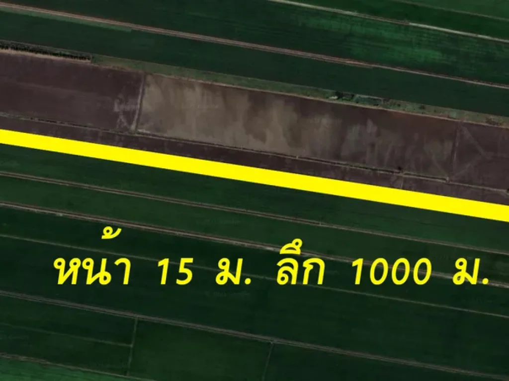 ขายที่ดินสีเขียวติดถนน 9-1-28 ไร่ ตไทรใหญ่ จนนทบุรี