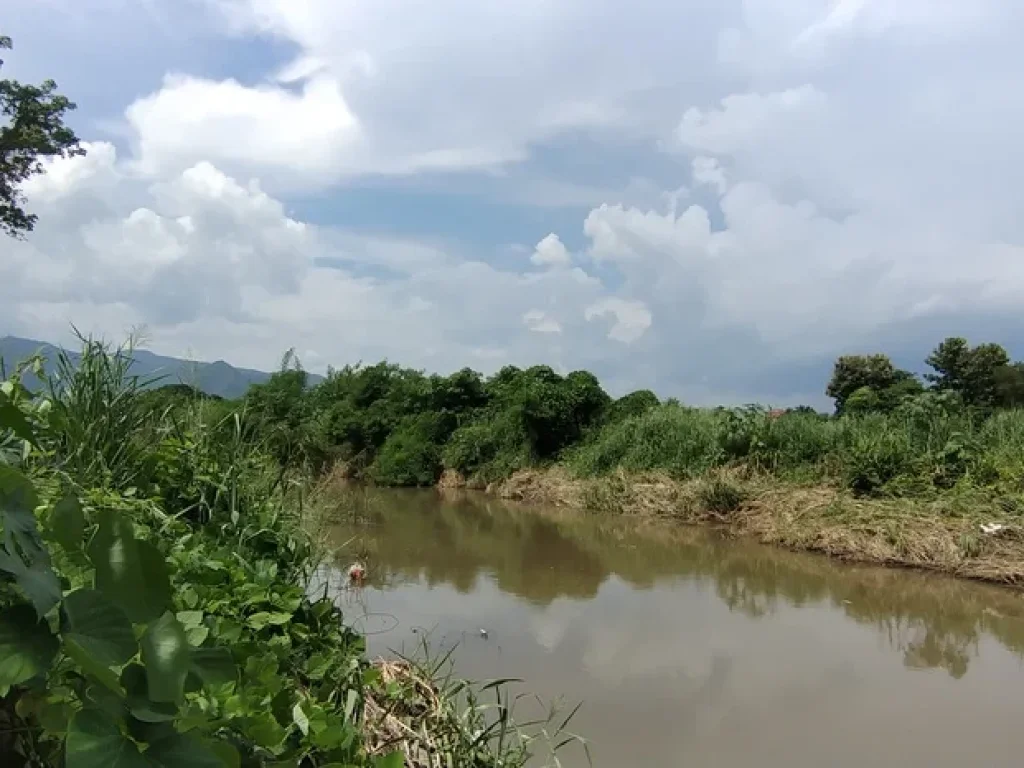 ติดแม่น้ำวาง ติดถนนลาดยาง ขายด่วนที่นาสวนผสมมีโฉนด