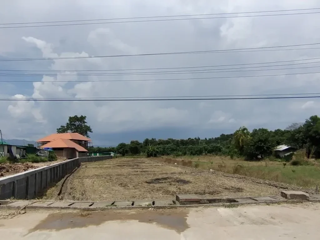 ติดแม่น้ำวาง ติดถนนลาดยาง ขายด่วนที่นาสวนผสมมีโฉนด