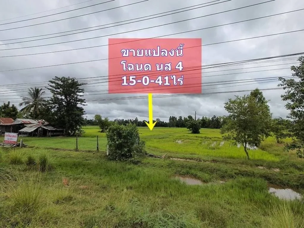 ขายที่ดินเปล่าโฉนด ขายถูก 99แสนไร่ ใกล้พัทยาน้อย เขื่อนสิรินธร ติดทางหลวง 4 เลน เนื้อที่ 15-0-41ไร่