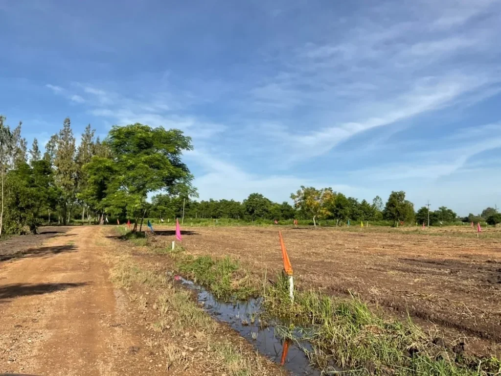 เปิดขาย เฟสใหม่เพียง 18 แปลง ที่ดินแปลงเล็ก ที่ดินผ่อนได้ บ้านสวนคลอง14 องครักษ์