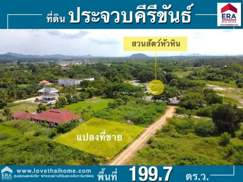 ขายที่ดินหัวหิน อยู่ซอยหมู่บ้านไนท์บริดจ์9 ตหินเหล็กไฟ ประจวบคีรีขันธ์ ติดกับสวนสัตว์หัวหิน พื้นที่1997ตรว เอกสารสิทธิ์ เป็นโฉนดพร้อมโอน