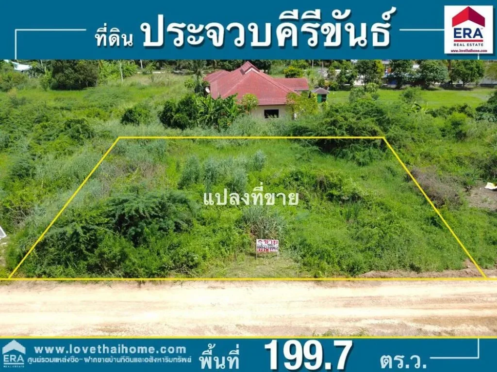 ขายที่ดินหัวหิน อยู่ซอยหมู่บ้านไนท์บริดจ์9 ตหินเหล็กไฟ ประจวบคีรีขันธ์ ติดกับสวนสัตว์หัวหิน พื้นที่1997ตรว เอกสารสิทธิ์ เป็นโฉนดพร้อมโอน