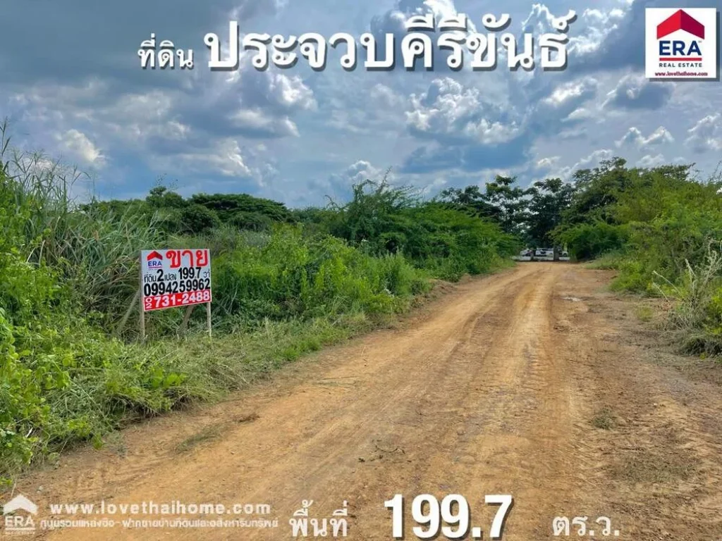 ขายที่ดินหัวหิน อยู่ซอยหมู่บ้านไนท์บริดจ์9 ตหินเหล็กไฟ ประจวบคีรีขันธ์ ติดกับสวนสัตว์หัวหิน พื้นที่1997ตรว เอกสารสิทธิ์ เป็นโฉนดพร้อมโอน