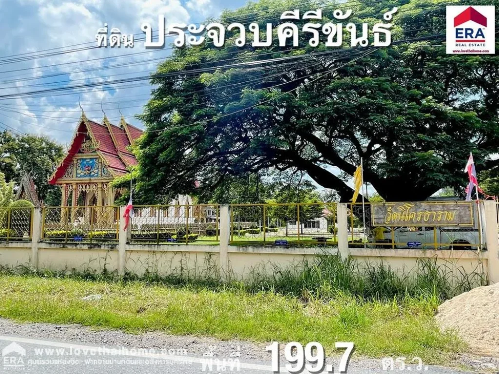 ขายที่ดินหัวหิน อยู่ซอยหมู่บ้านไนท์บริดจ์9 ตหินเหล็กไฟ ประจวบคีรีขันธ์ ติดกับสวนสัตว์หัวหิน พื้นที่1997ตรว เอกสารสิทธิ์ เป็นโฉนดพร้อมโอน